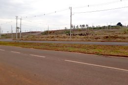 perola_01